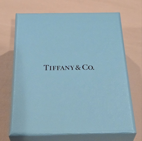 Tiffany & Co. Sterling Silver Atlas Roman Numeral Notes Stud Earrings - Picture 4 of 4